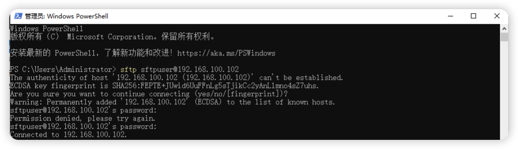 image-20251029174412947